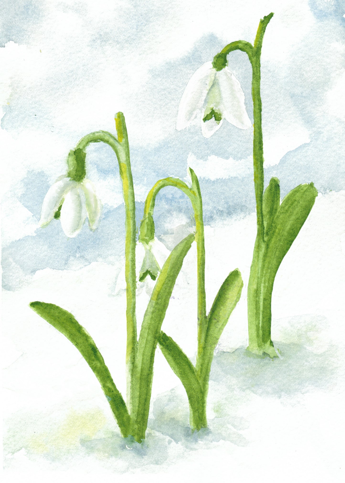 Pretty in Pink Spring Collection