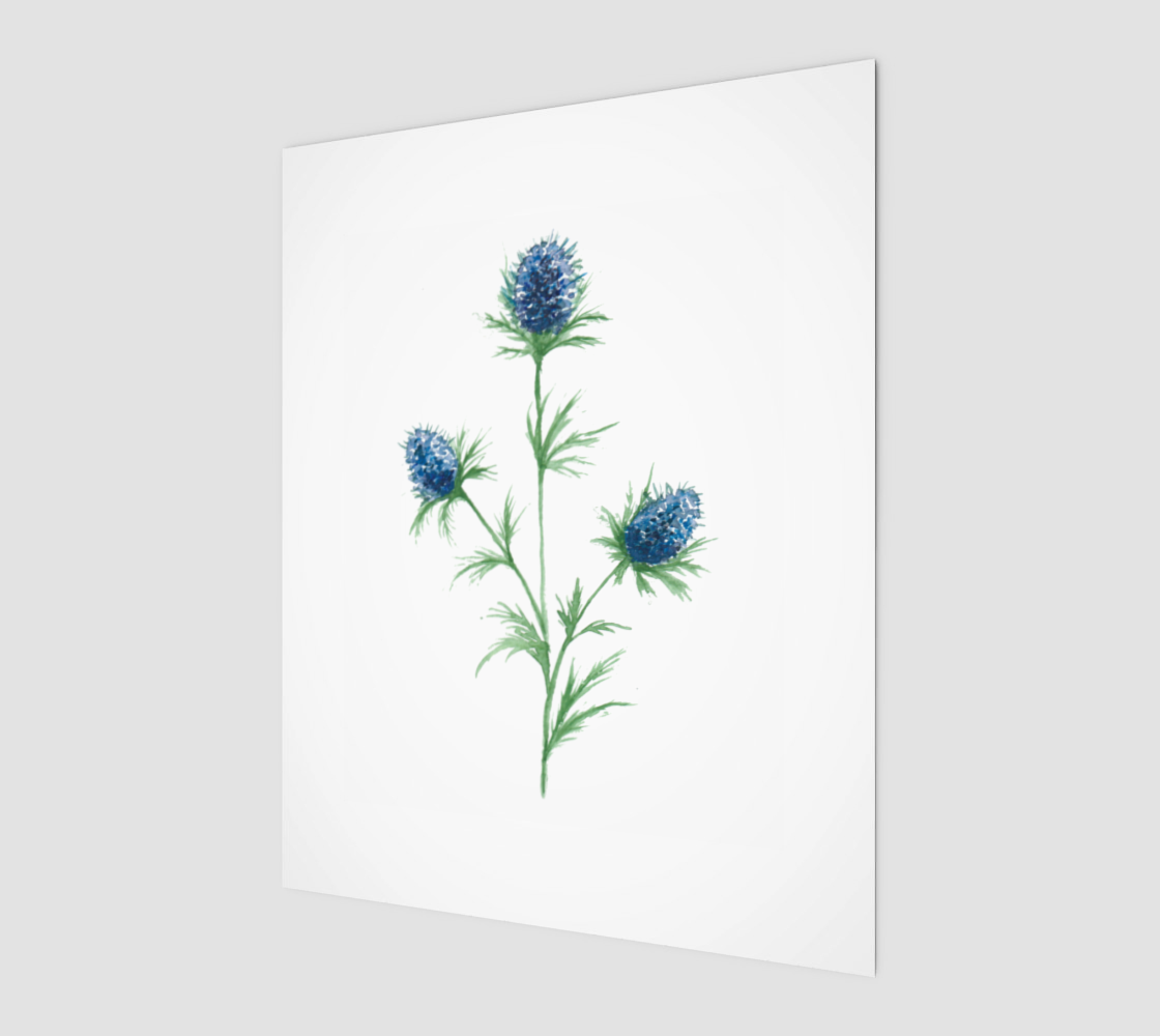 Blue Sea Holly, Art Print, 8 by 10