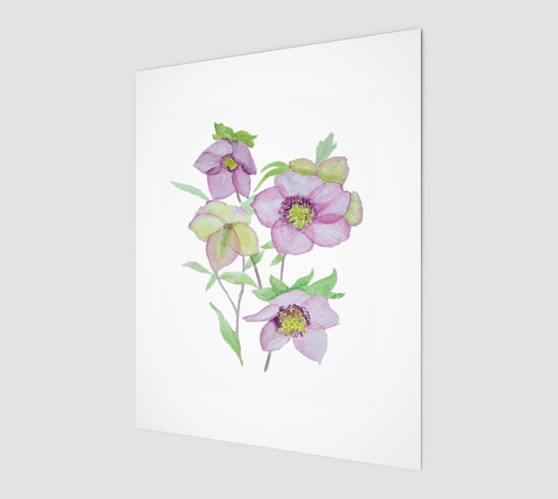 Hellebore Art Print 8 by 10